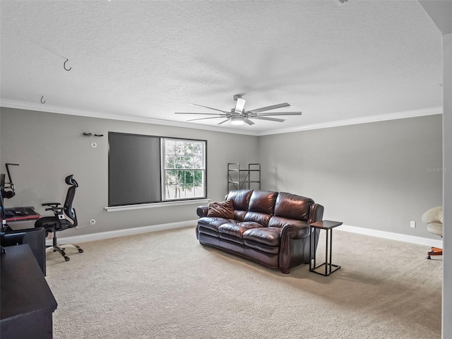 13201 Sugarbluff Rd, Clermont, FL 34715 - photo 41