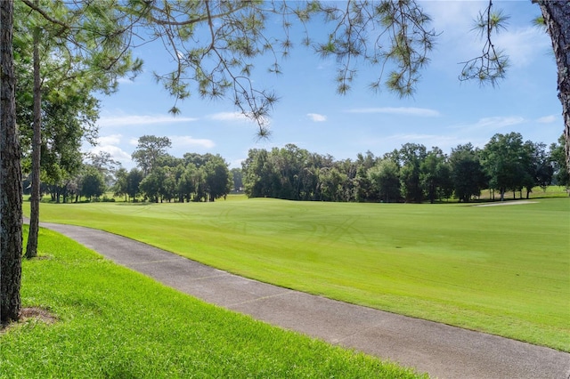 17854 SW 72nd Street Rd, Dunnellon, FL 34432 - photo 6