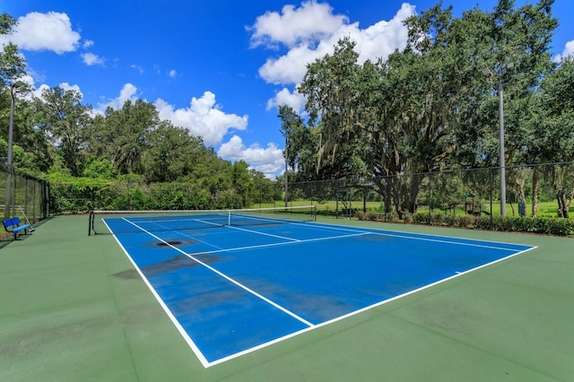 24353 Calusa Blvd, Eustis, FL 32736 - photo 29