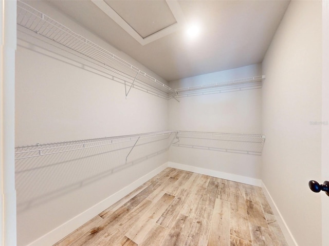 2957 E Gladys St, Inverness, FL 34453 - photo 41