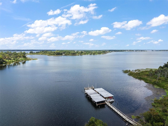 633 Sandlake Ct, Mount Dora, FL 32757 - photo 3