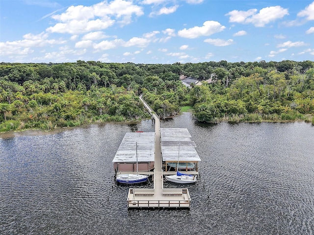 633 Sandlake Ct, Mount Dora, FL 32757 - photo 4