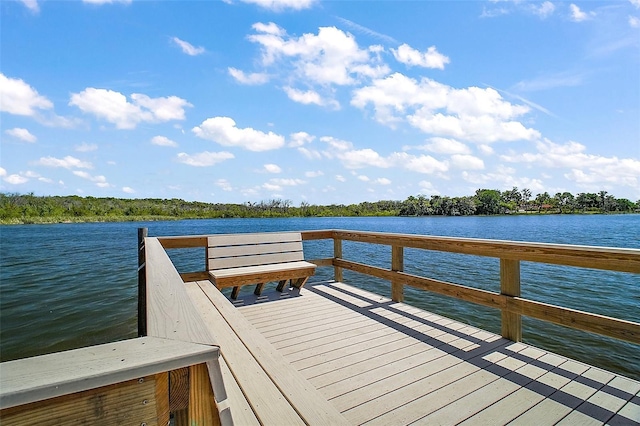 633 Sandlake Ct, Mount Dora, FL 32757 - photo 10