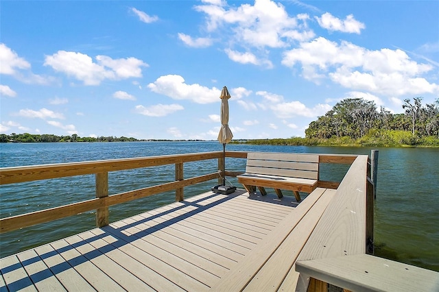 633 Sandlake Ct, Mount Dora, FL 32757 - photo 12