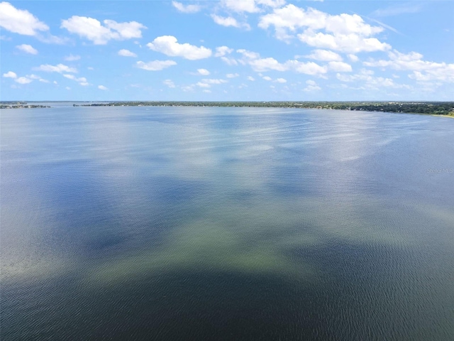 633 Sandlake Ct, Mount Dora, FL 32757 - photo 48