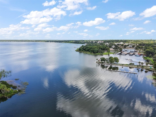 633 Sandlake Ct, Mount Dora, FL 32757 - photo 49