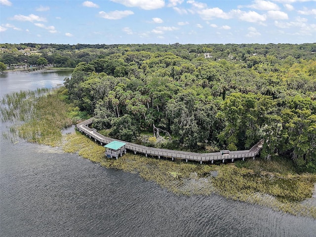 633 Sandlake Ct, Mount Dora, FL 32757 - photo 50
