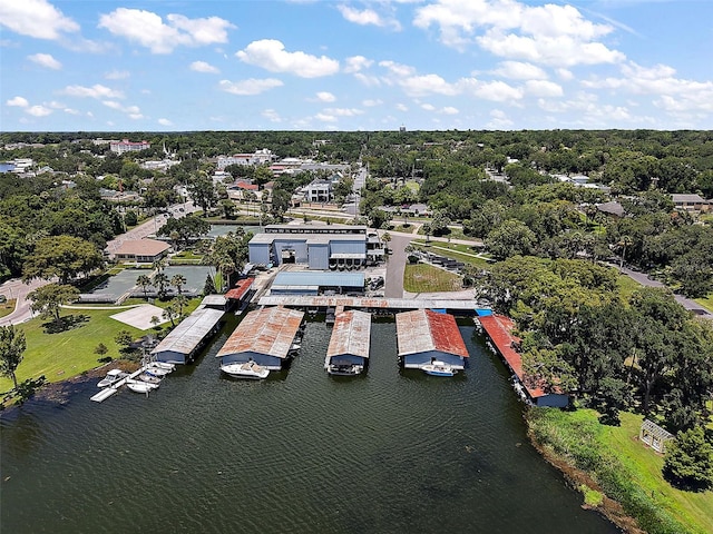 633 Sandlake Ct, Mount Dora, FL 32757 - photo 52