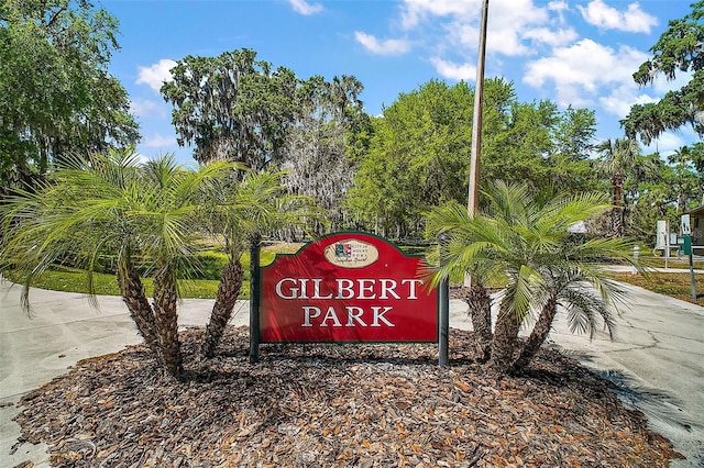 633 Sandlake Ct, Mount Dora, FL 32757 - photo 56