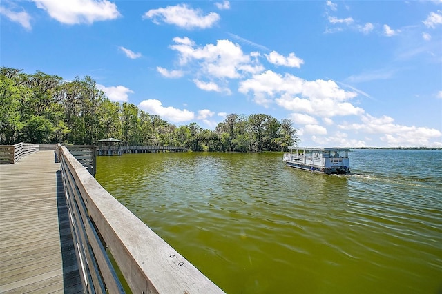 633 Sandlake Ct, Mount Dora, FL 32757 - photo 66