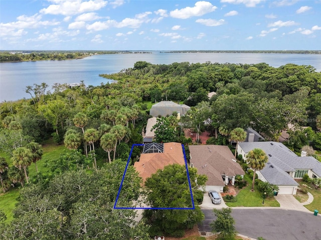 633 Sandlake Ct, Mount Dora, FL 32757 - photo 72