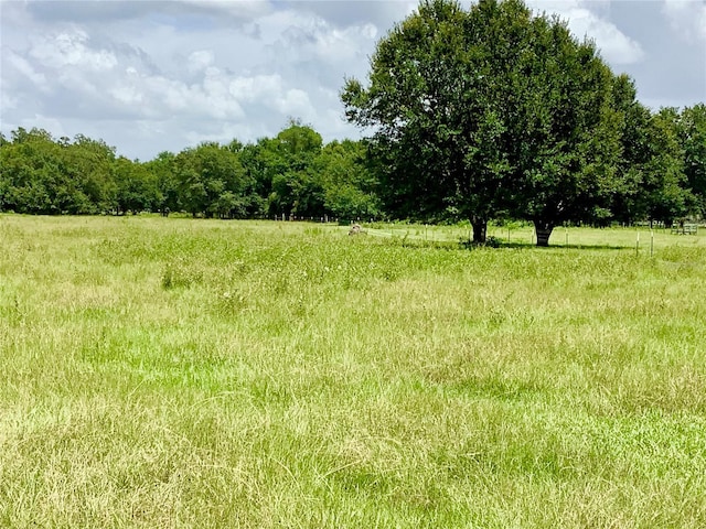 Unassigned County Road 738, Webster, FL 33597 - photo 29