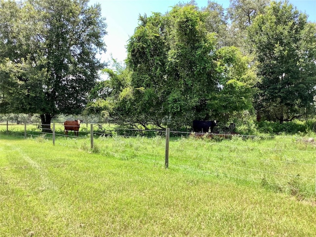 Unassigned County Road 738, Webster, FL 33597 - photo 30