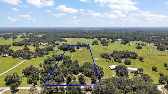 Unassigned County Road 738, Webster, FL 33597 - photo 35