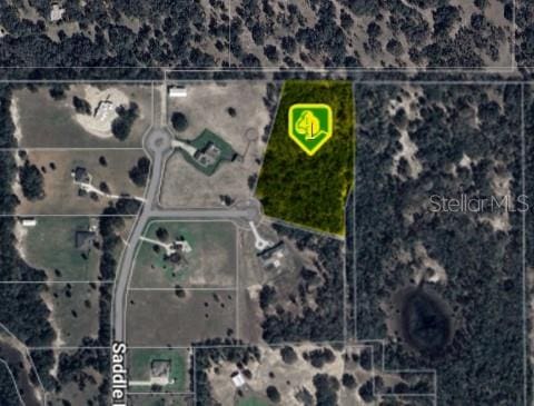 5707 Woods View Ct, Weirsdale, FL 32195 - photo 1
