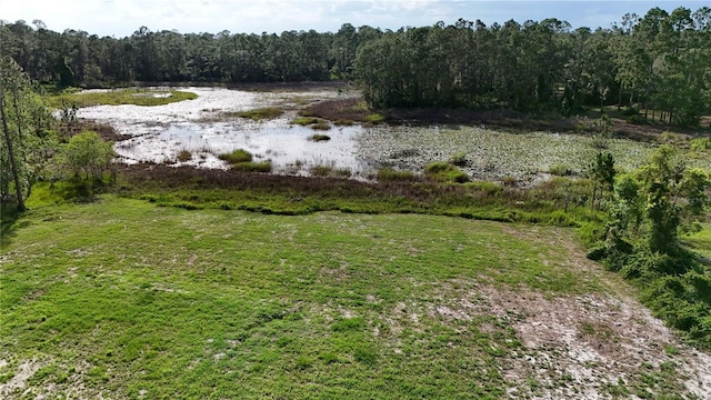 39817 Forest Dr, Eustis, FL 32736 - photo 9