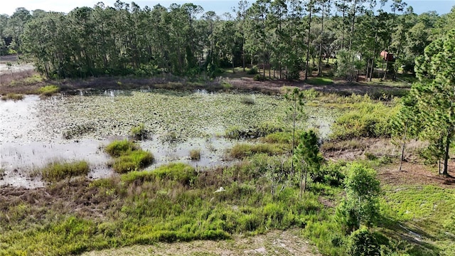 39817 Forest Dr, Eustis, FL 32736 - photo 11