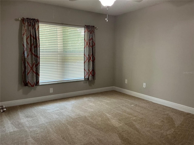 8733 SE 156th Pl, Summerfield, FL 34491 - photo 16