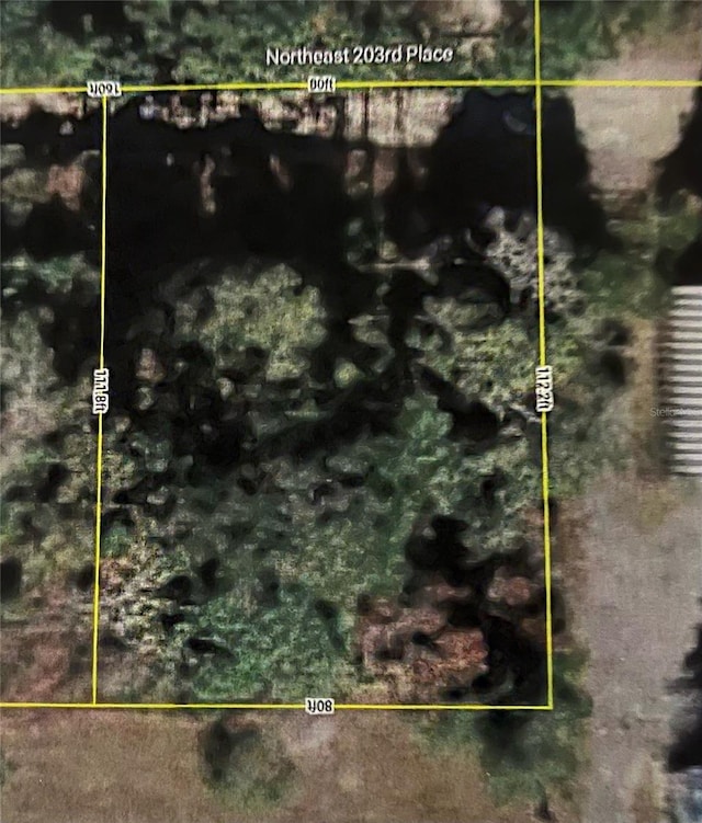 00 NE 203rd Pl, Fort Mc Coy, FL 32134 - photo 1