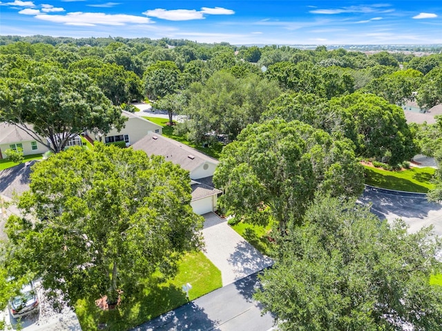 3813 Doune Way, Clermont, FL 34711 - photo 35