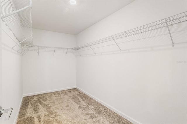 6910 Perch Hammock Loop, Groveland, FL 34736 - photo 15