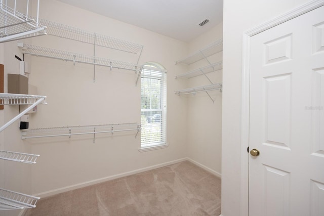 spacious closet featuring carpet flooring