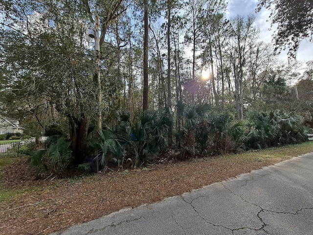 Listing photo 3 for 00 Tuscawilla Rd, Micanopy FL 32667