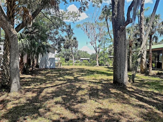 Listing photo 3 for TBD SE 245th St, Suwannee FL 32692