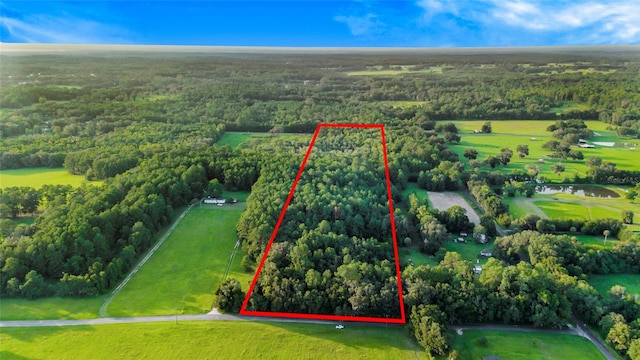 00 NW 193rd St, Micanopy FL, 32667 land for sale