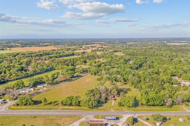 bird's eye view