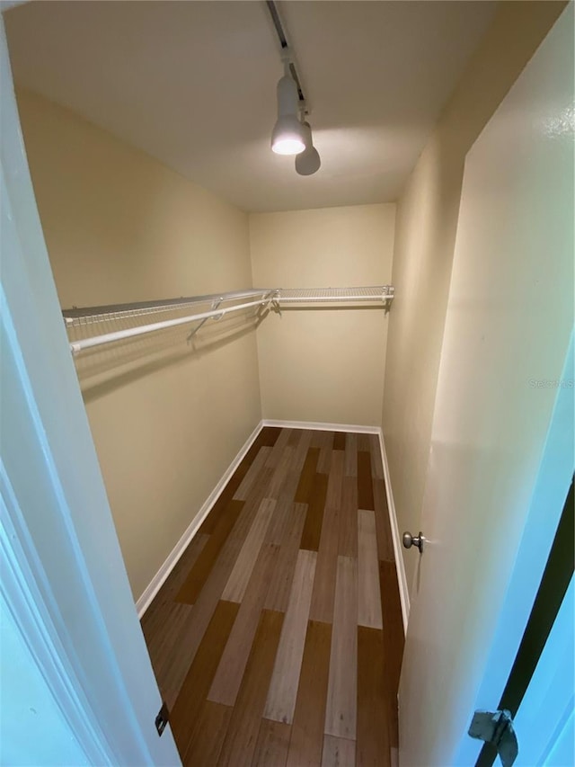 walk in closet featuring hardwood / wood-style floors