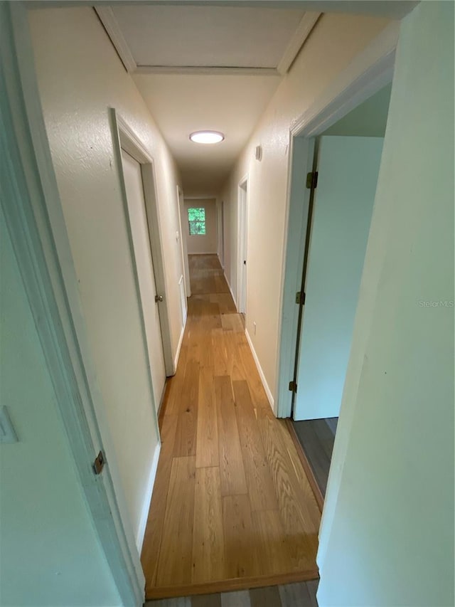 hall featuring light hardwood / wood-style flooring