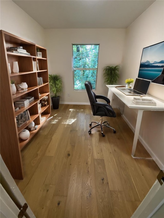 office with light hardwood / wood-style floors