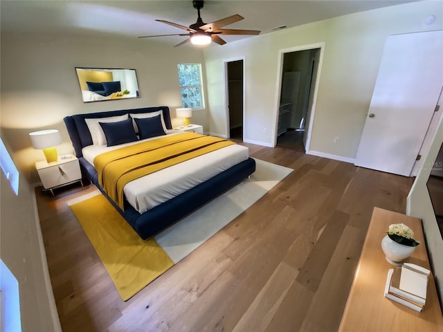 bedroom featuring dark hardwood / wood-style flooring, a closet, and a walk in closet