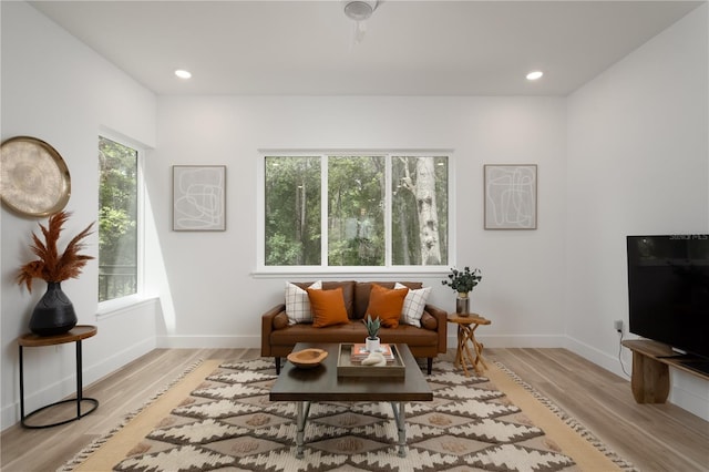 living area with light hardwood / wood-style flooring