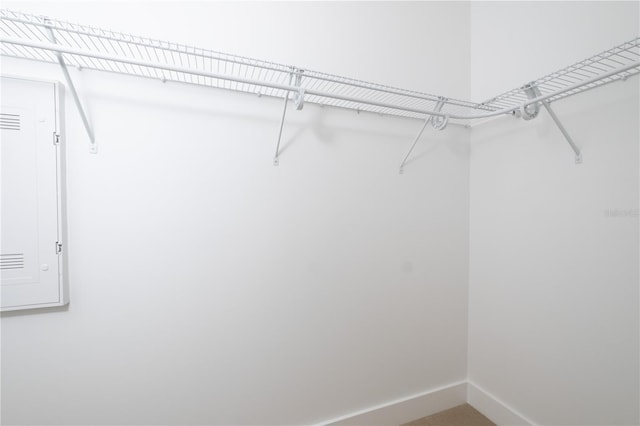 view of spacious closet