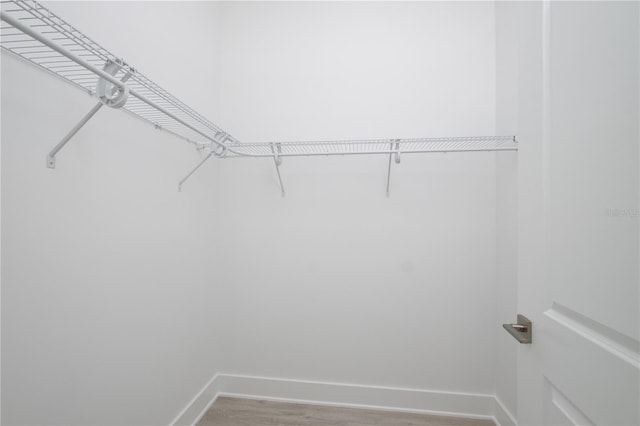 spacious closet featuring wood-type flooring