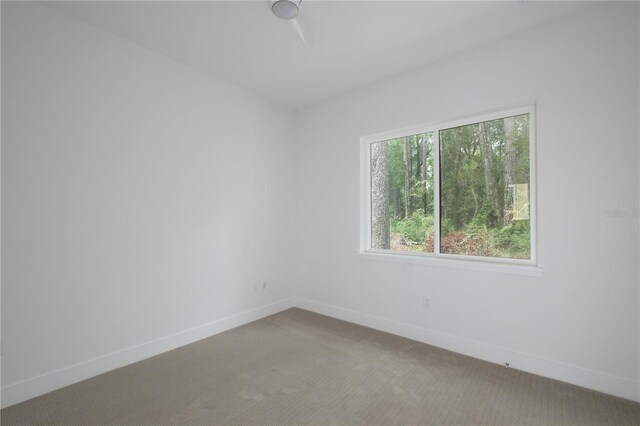 2601 SW Williston Rd Unit 9, Gainesville, FL 32608 - photo 14
