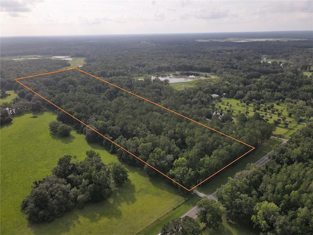 15208 SW Williston Rd, Micanopy FL, 32667 land for sale