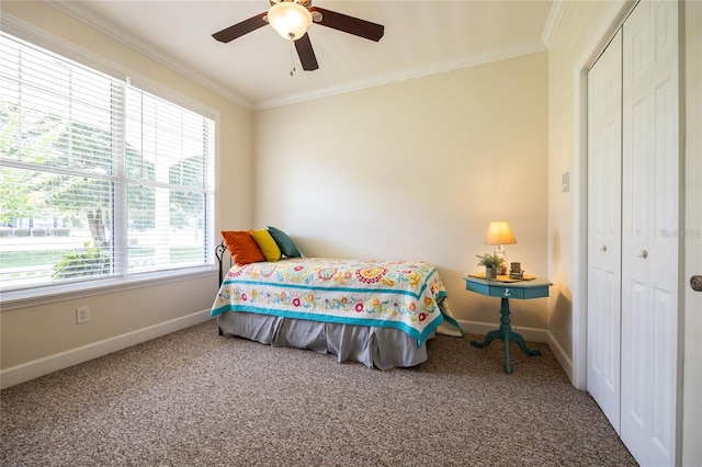 bedroom featuring ceiling fan, a closet, carpet floors, and crown molding