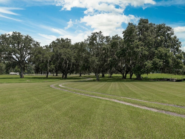 view of home's community with a yard