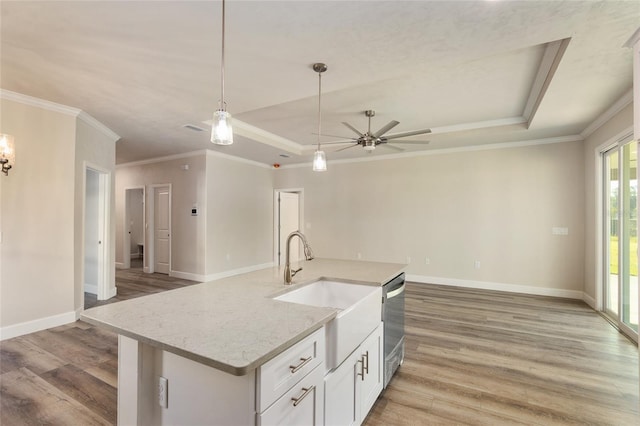 kitchen with white cabinets, stainless steel dishwasher, light stone counters, a tray ceiling, and light hardwood / wood-style flooring