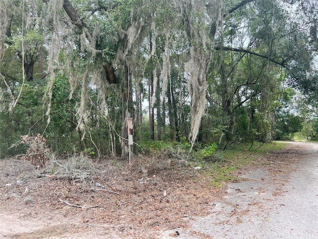 00 NW 187th Rd, High Springs FL, 32643 land for sale