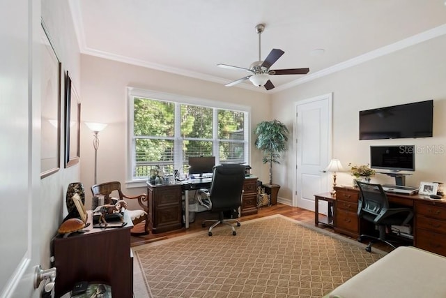 office featuring ceiling fan, crown molding, and light hardwood / wood-style flooring