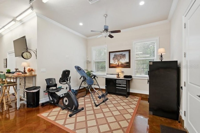 workout area with ceiling fan and crown molding