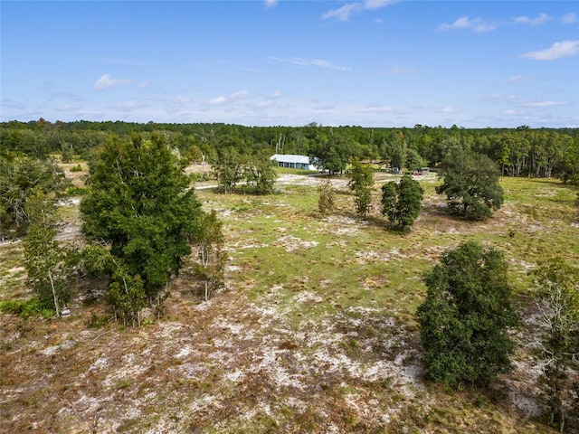 drone / aerial view featuring a rural view