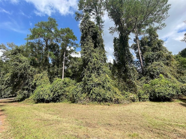 NW 90th St, Gainesville FL, 32653 land for sale