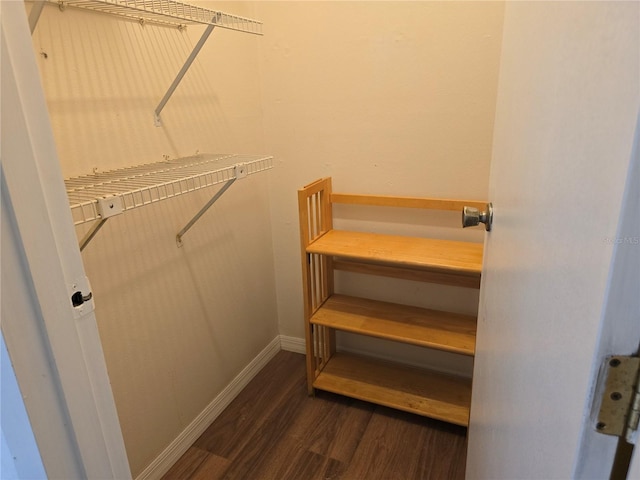 spacious closet featuring dark wood-type flooring