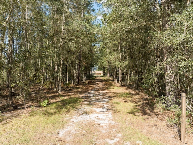 view of local wilderness