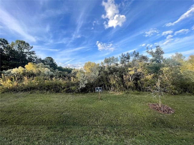 Listing photo 2 for TBD NW 152nd Ct, Newberry FL 32669